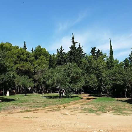 Bungalows Jurjevac Stari Grad  Buitenkant foto